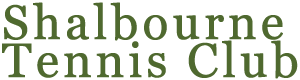 Your club web banner here